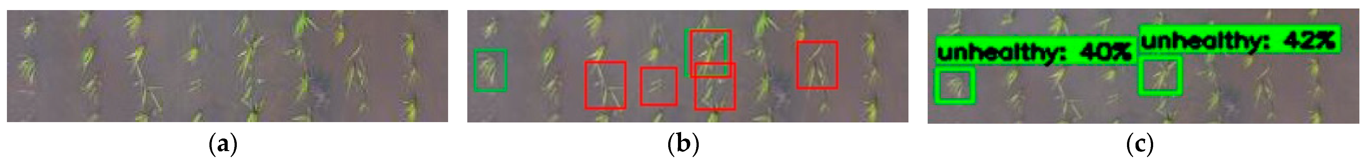 Remotesensing 14 00274 g010