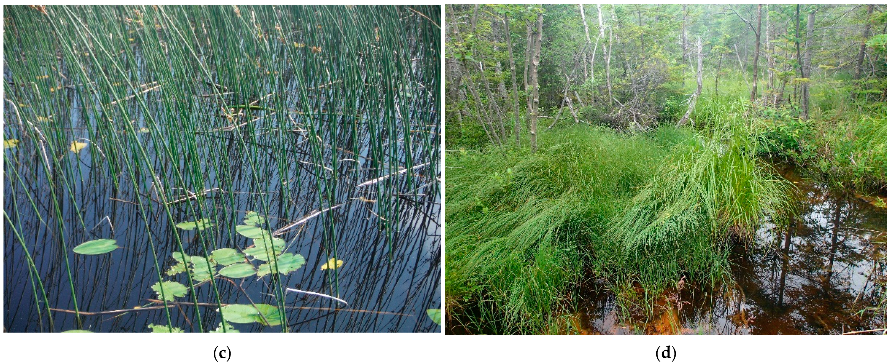 Remotesensing 14 00301 g005b