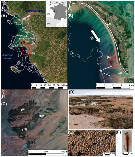 Remotesensing 14 00307 g001