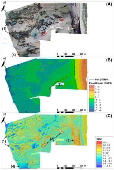 Remotesensing 14 00307 g002