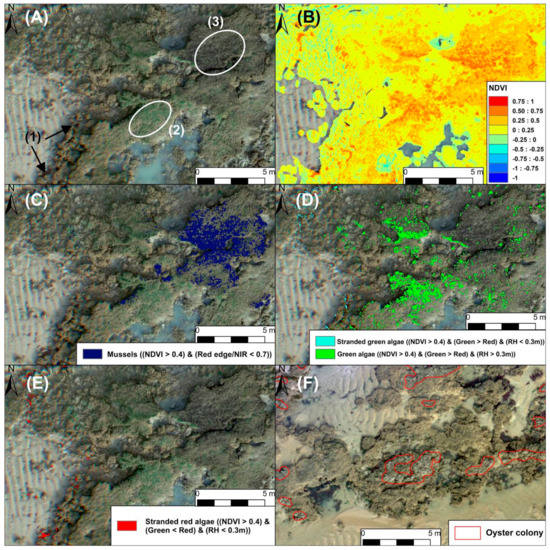 Remotesensing 14 00307 g0a5