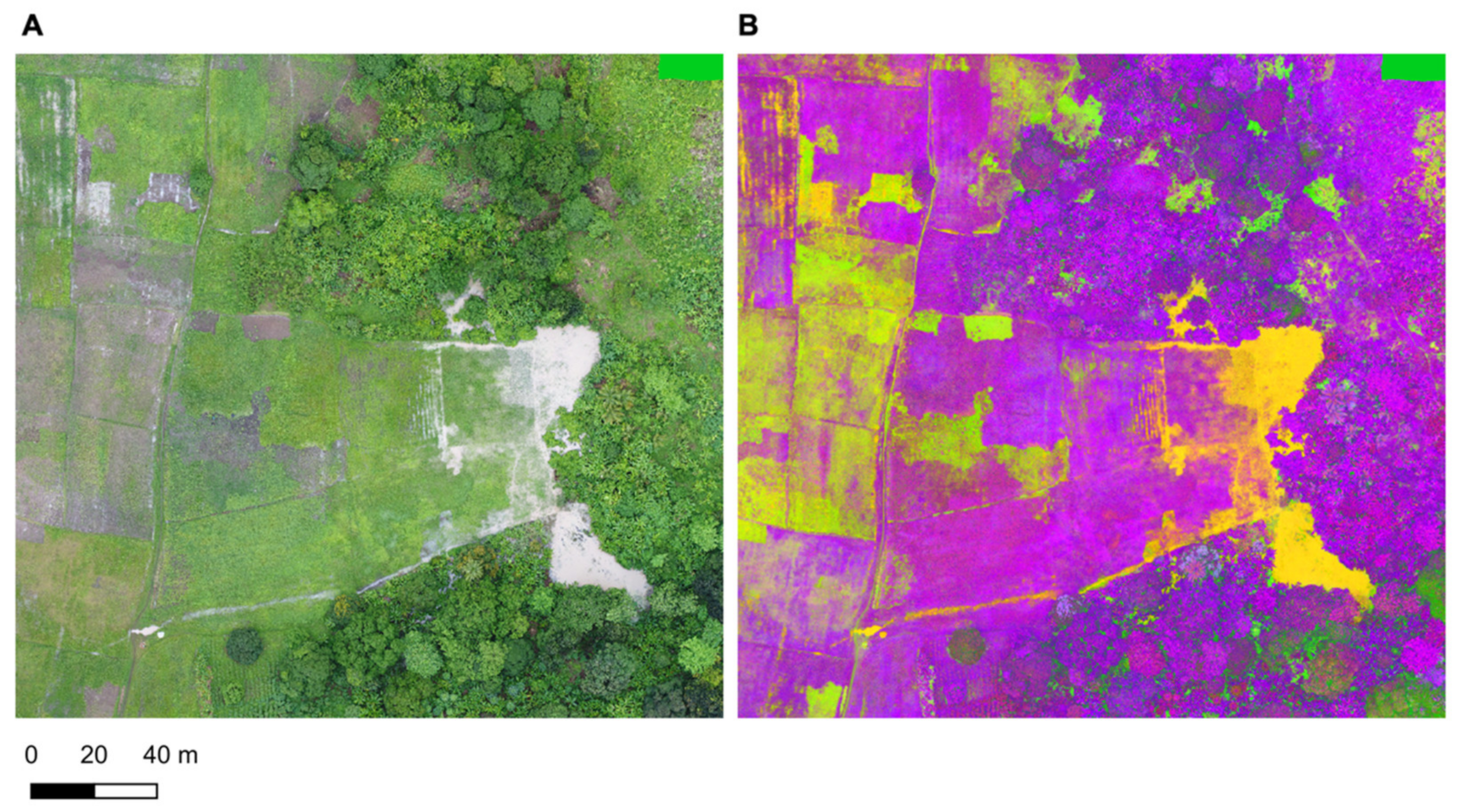 Remotesensing 14 00317 g004