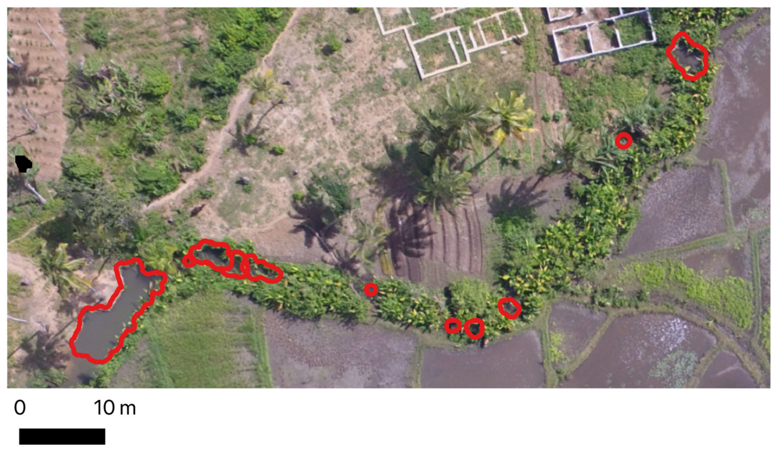 Remotesensing 14 00317 g008