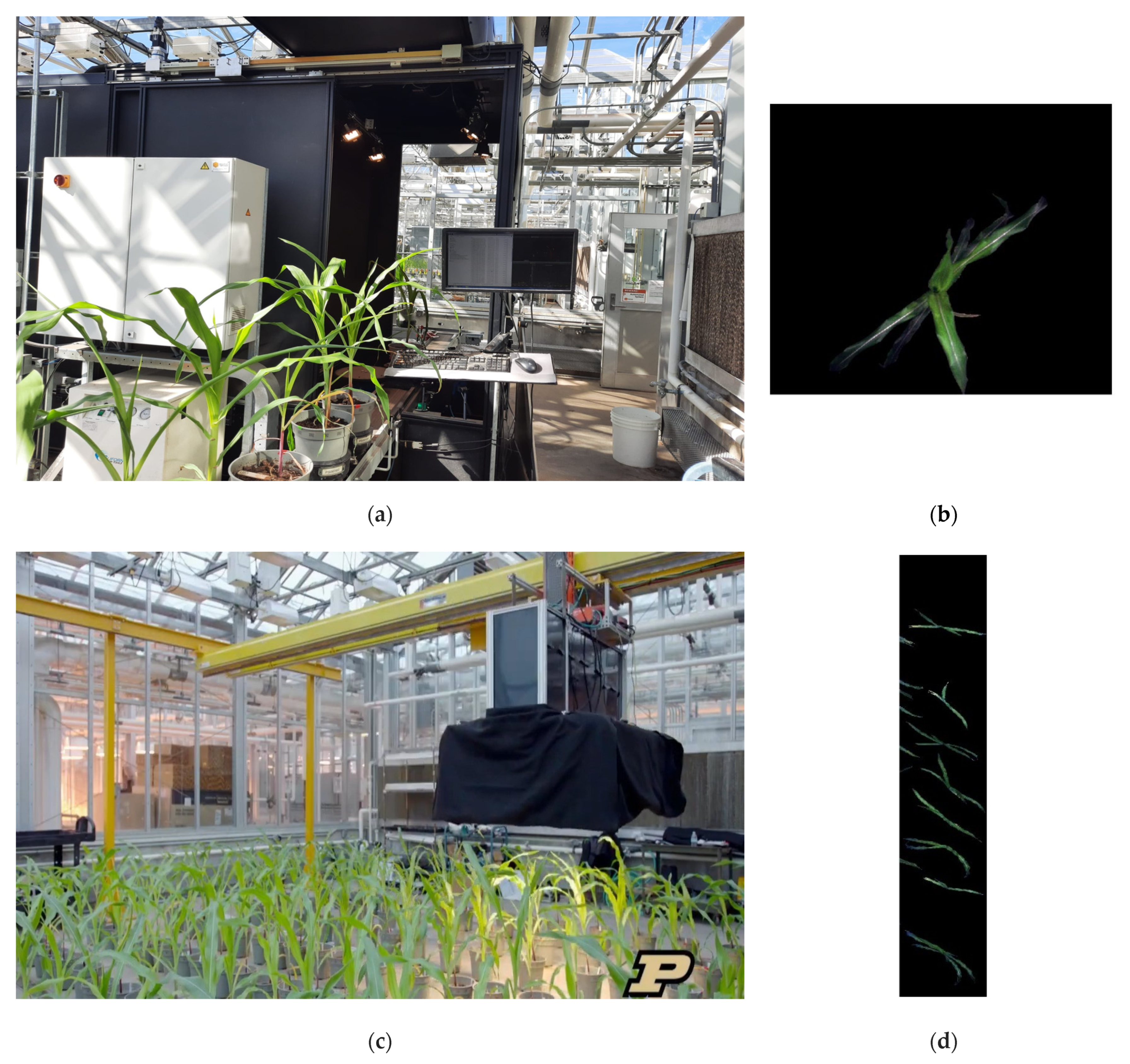 Remotesensing 14 00319 g001