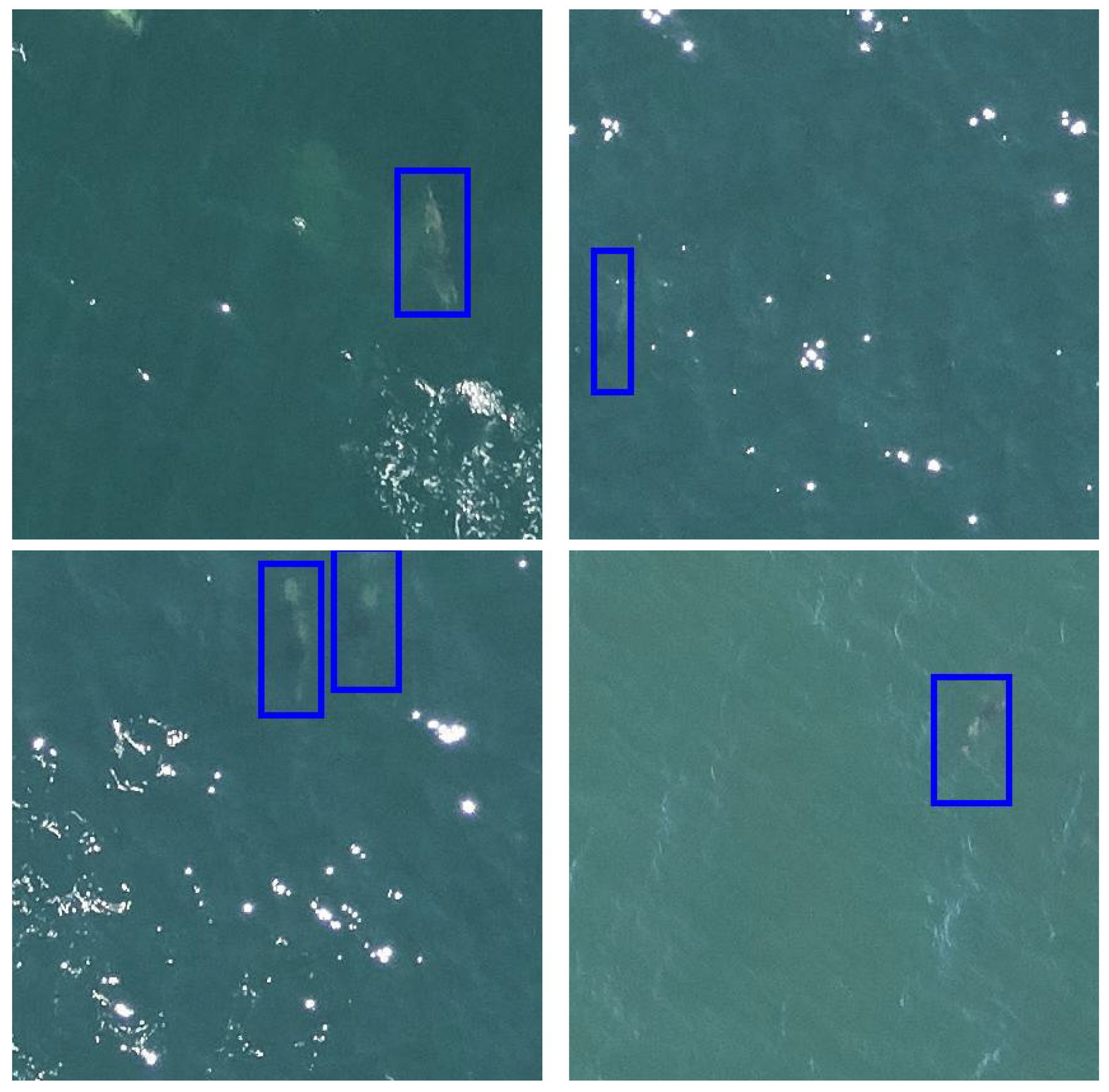 Remotesensing 14 00339 g002