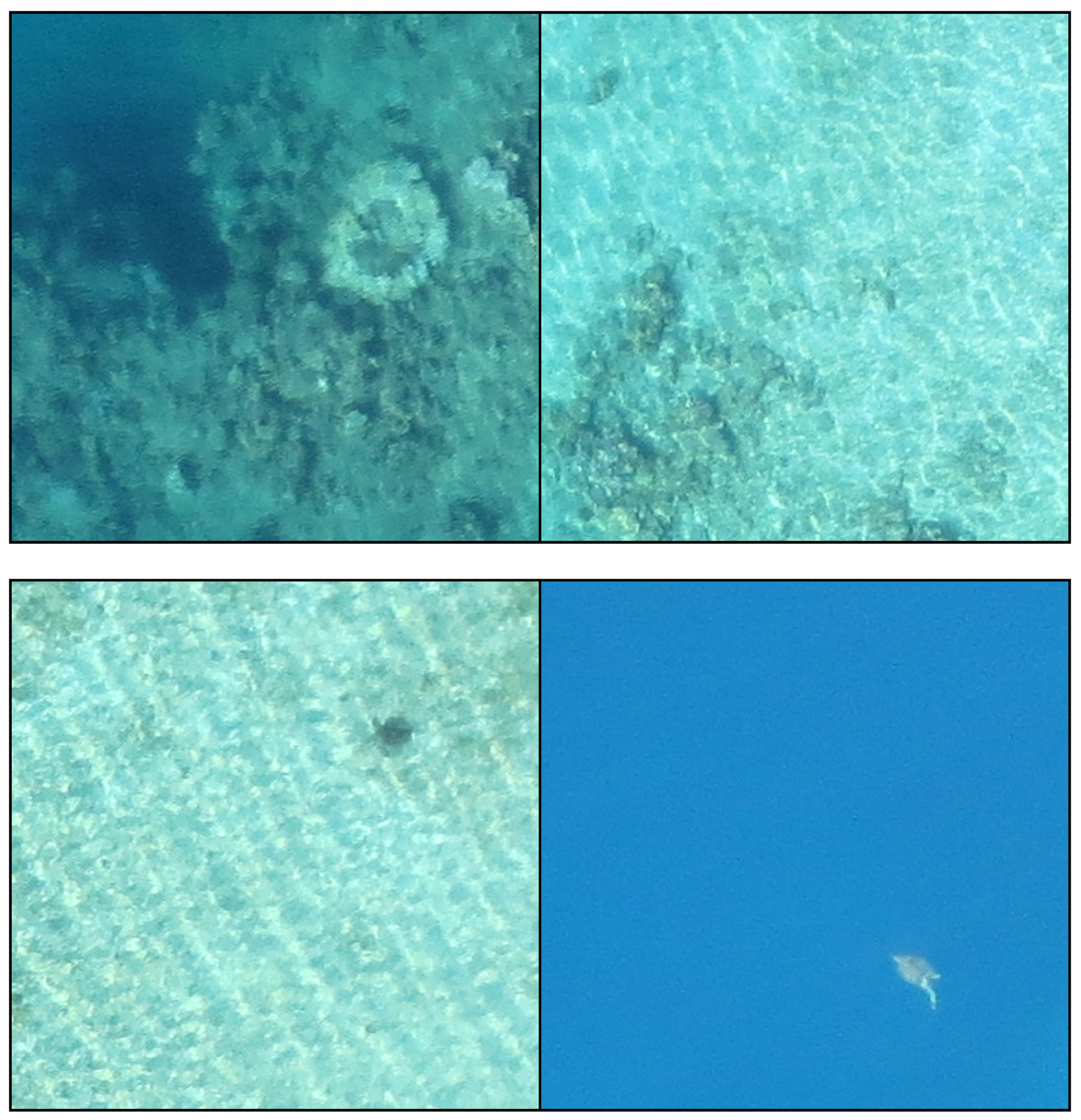 Remotesensing 14 00339 g007