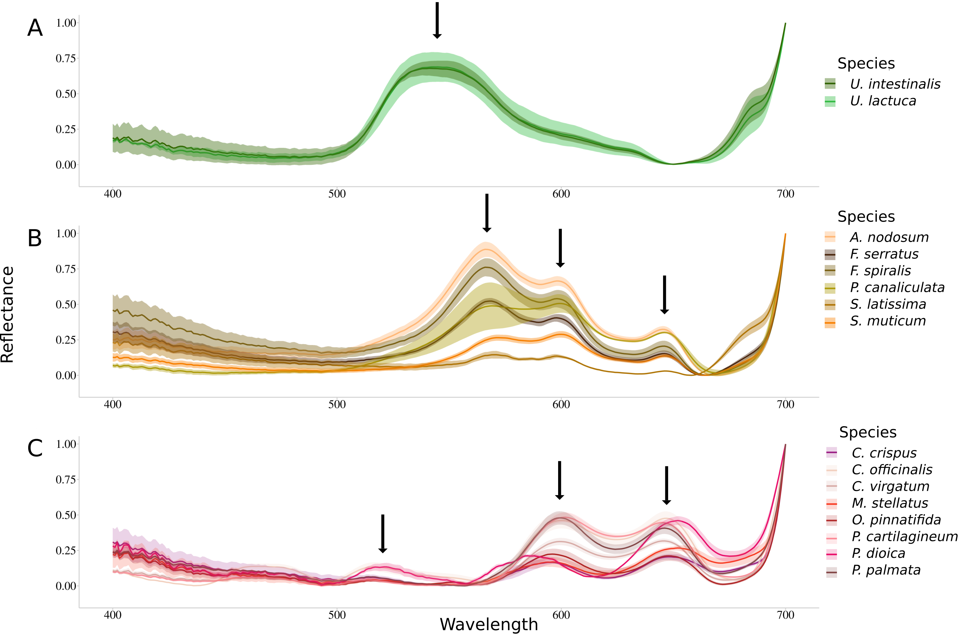Remotesensing 14 00346 g002
