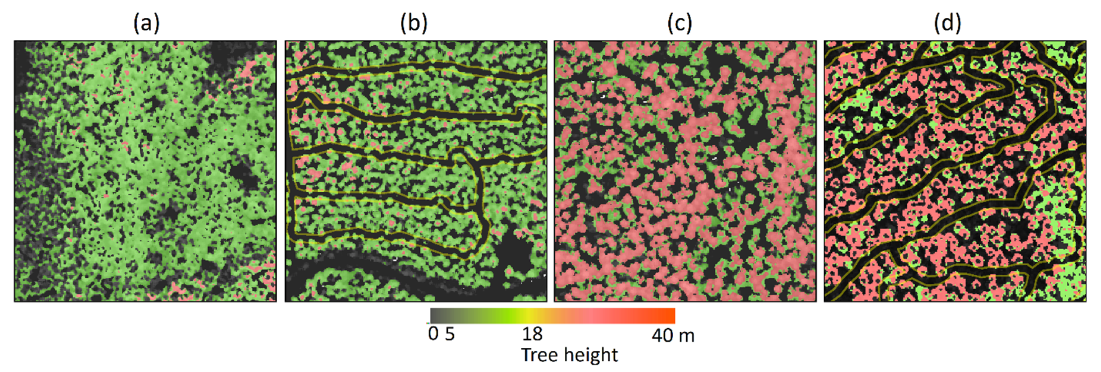 Remotesensing 14 00349 g001