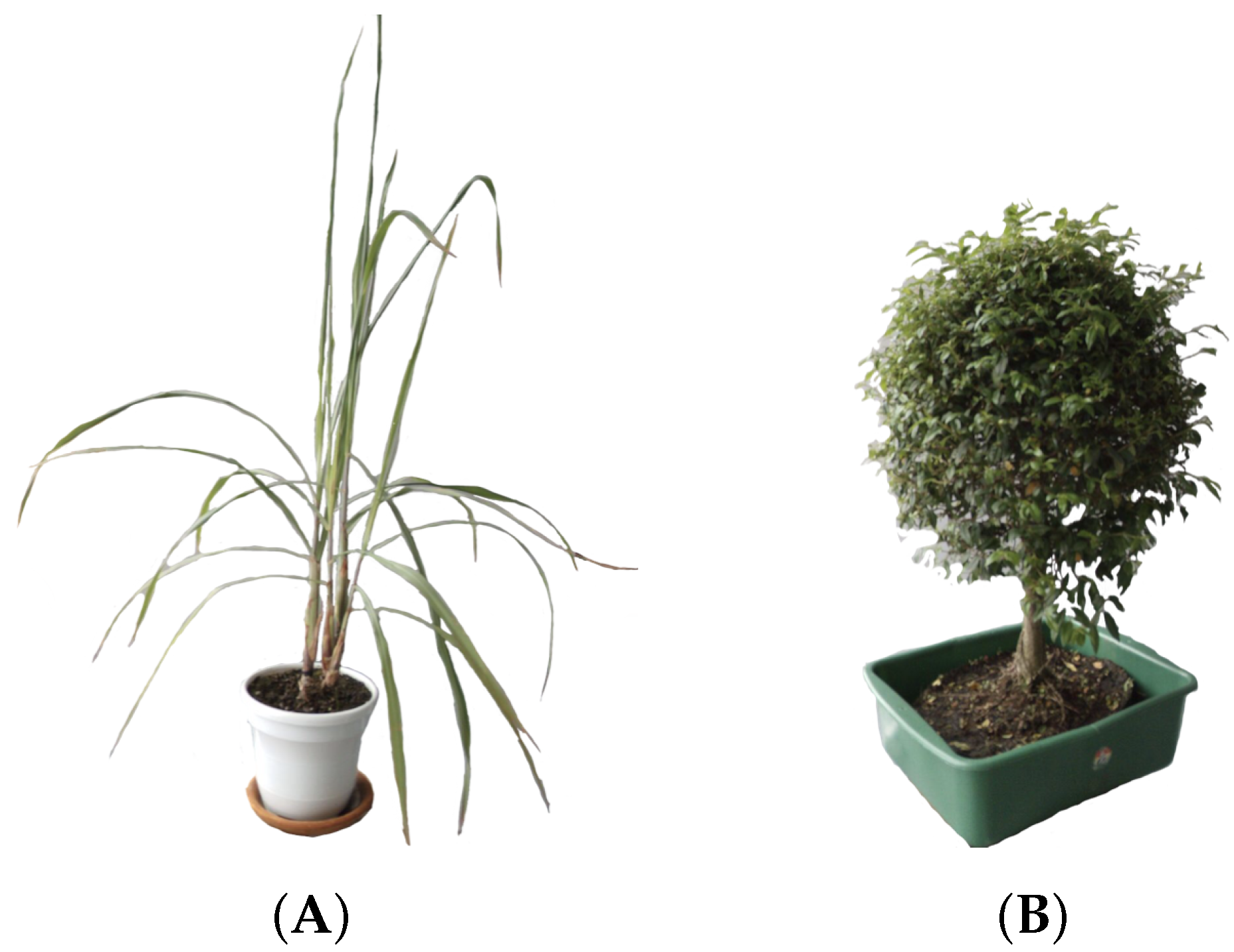 Remotesensing 14 00356 g003