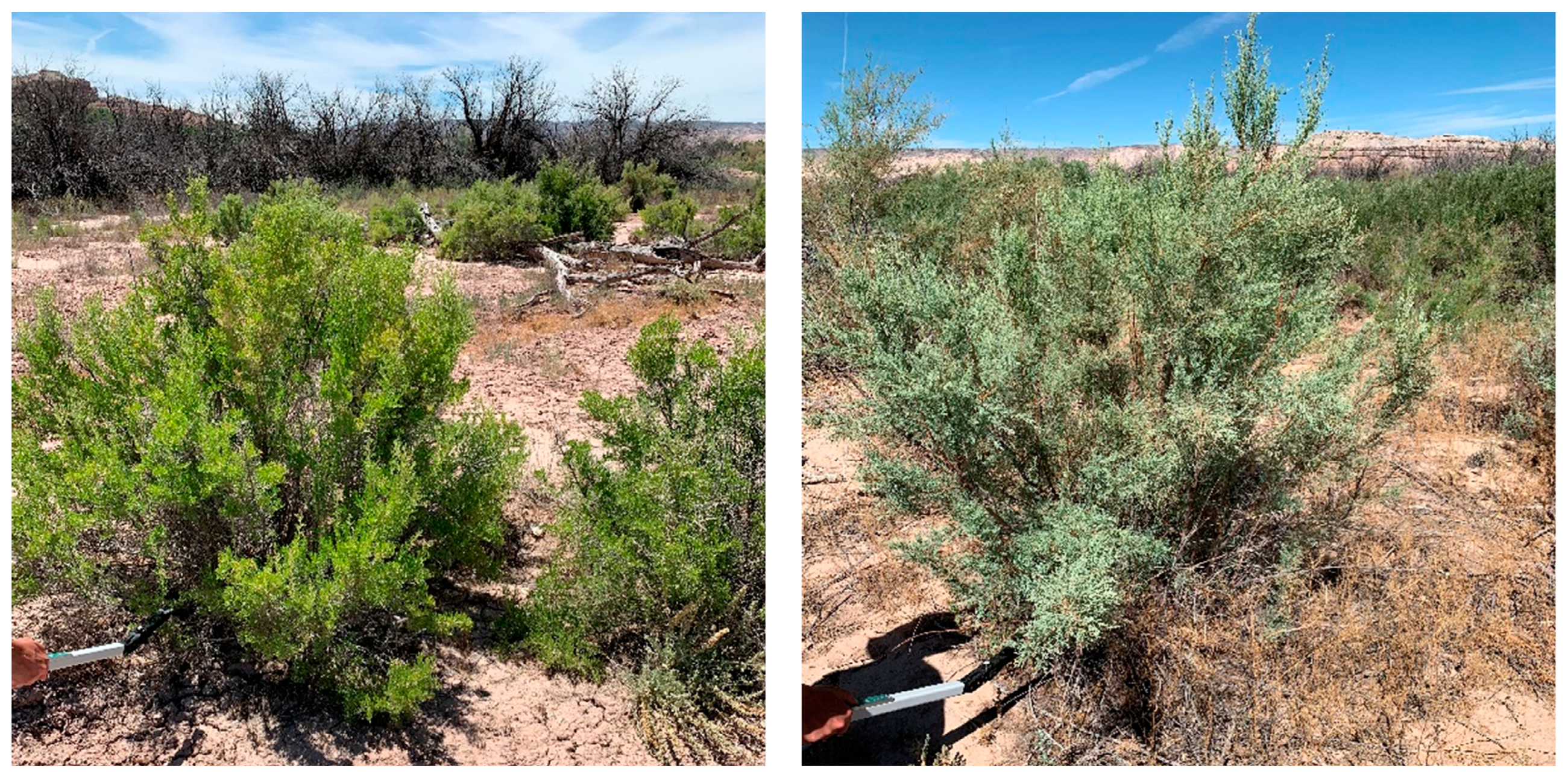 Remotesensing 14 00372 g004