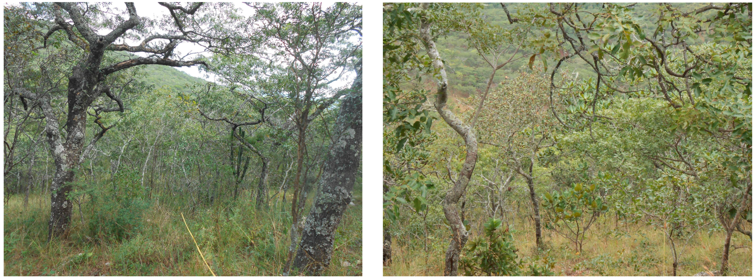 Remotesensing 14 00404 g001