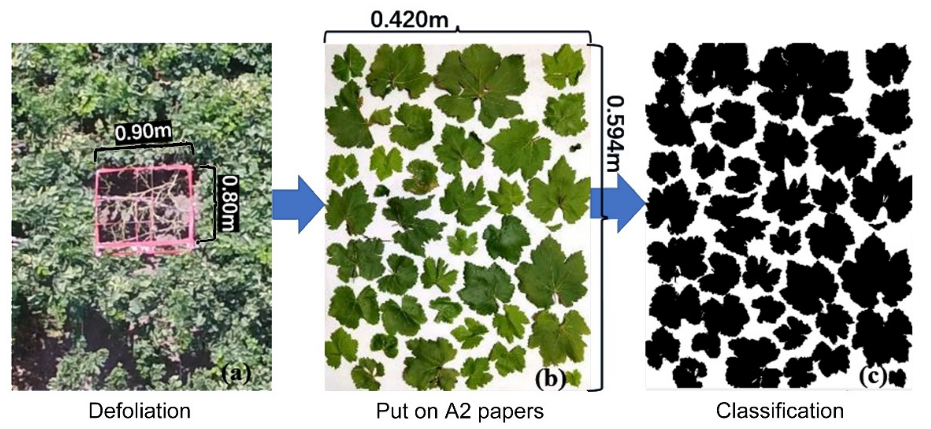 Remotesensing 14 00415 g002 Remotesensing 14 00415 g002