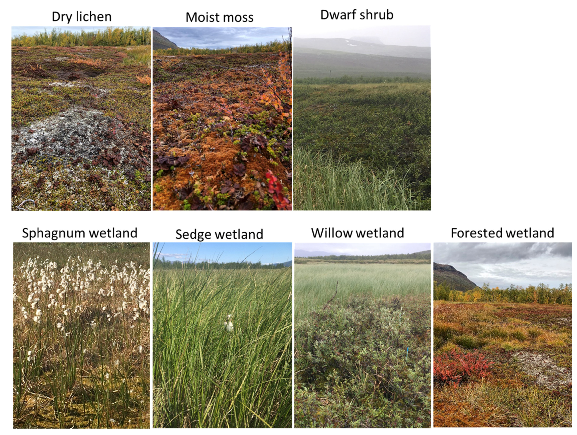 Remotesensing 14 00444 g003