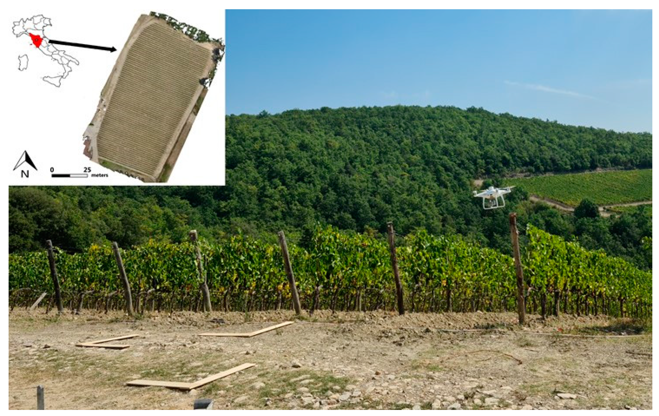 Remotesensing 14 00449 g001