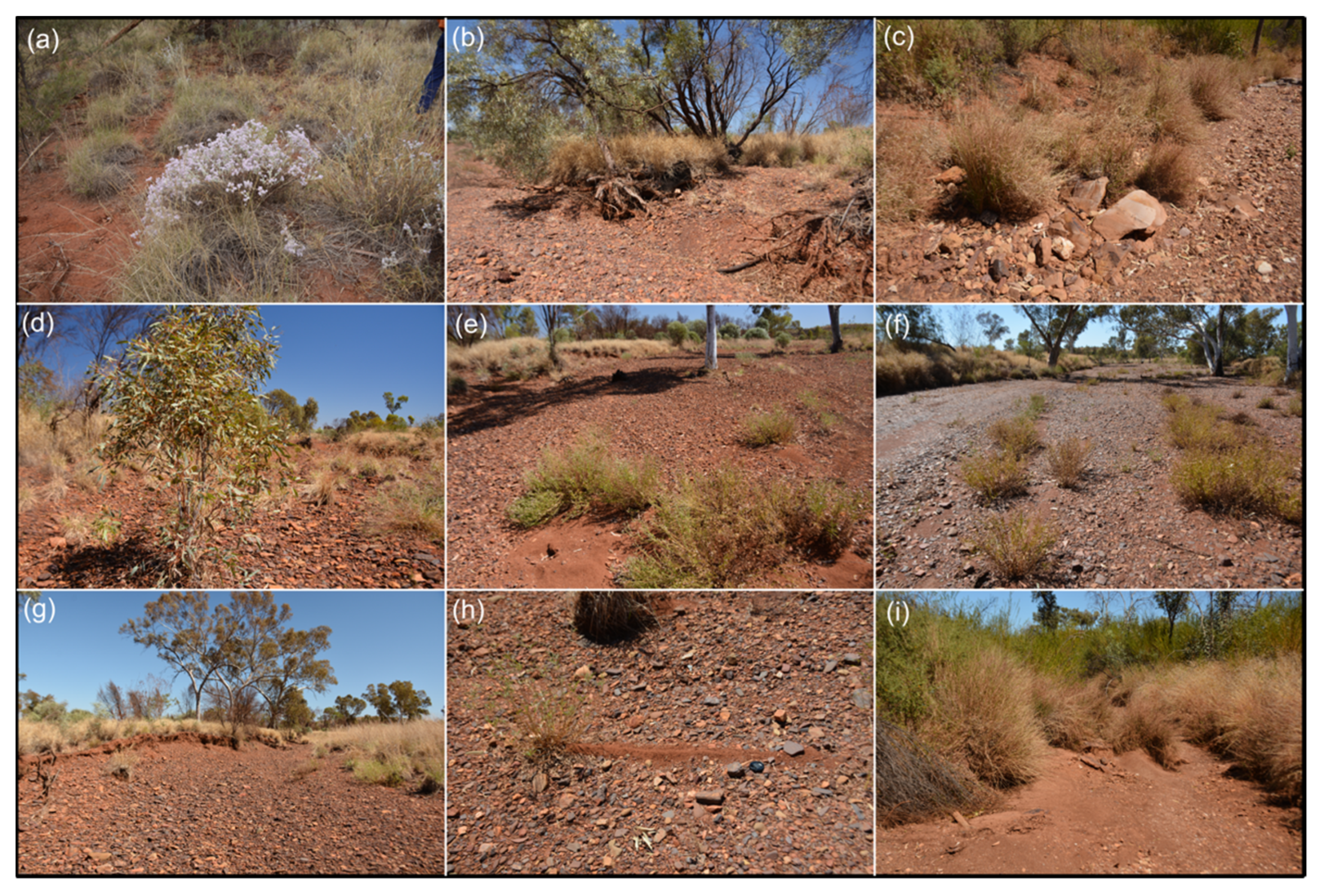 Remotesensing 14 00454 g001