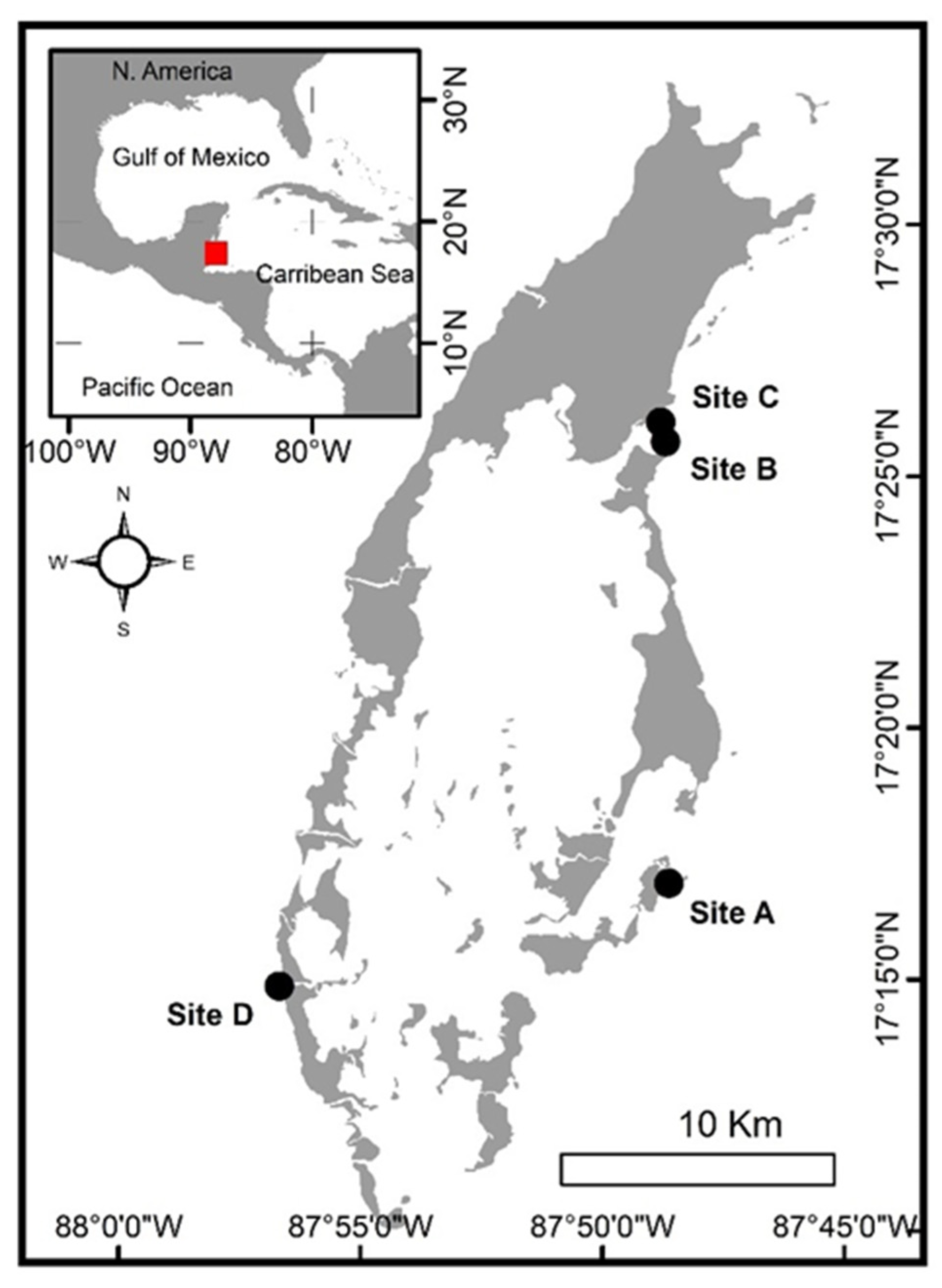Remotesensing 14 00480 g001