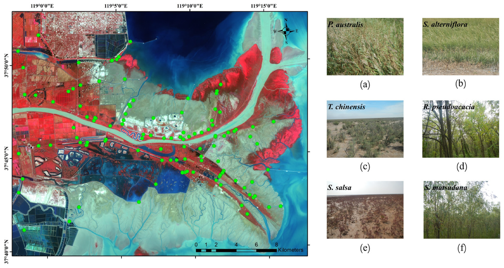 Remotesensing 14 00501 g002