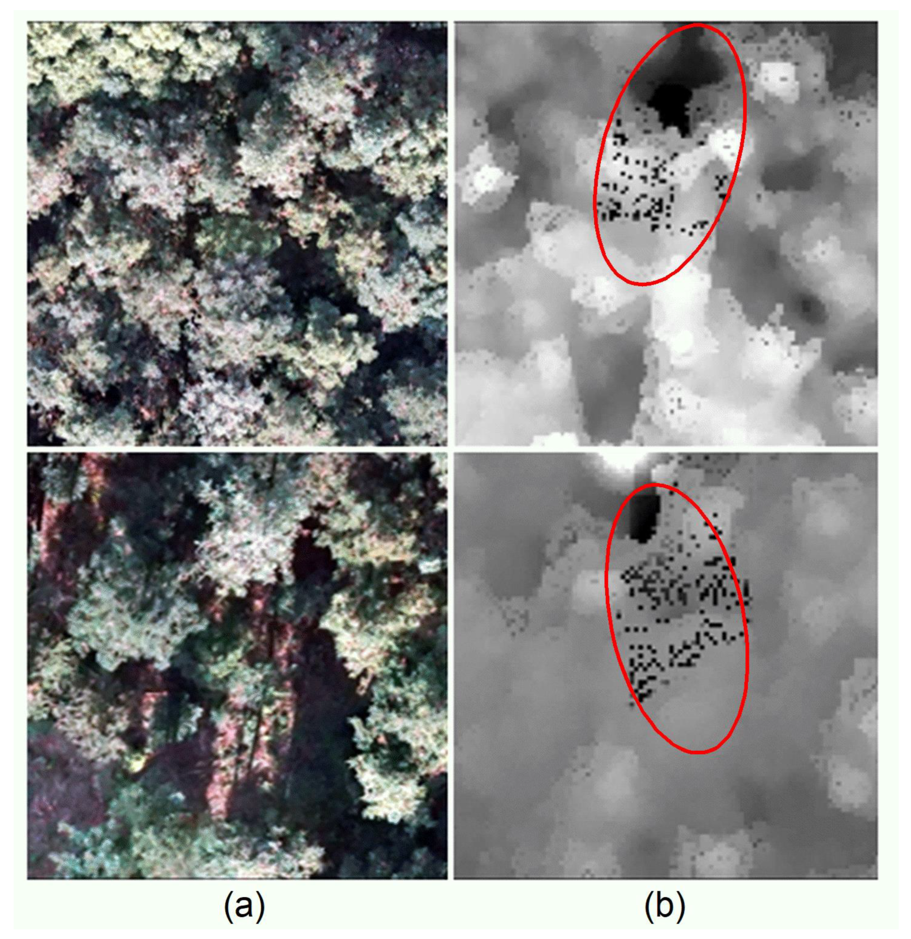 Remotesensing 14 00504 g004