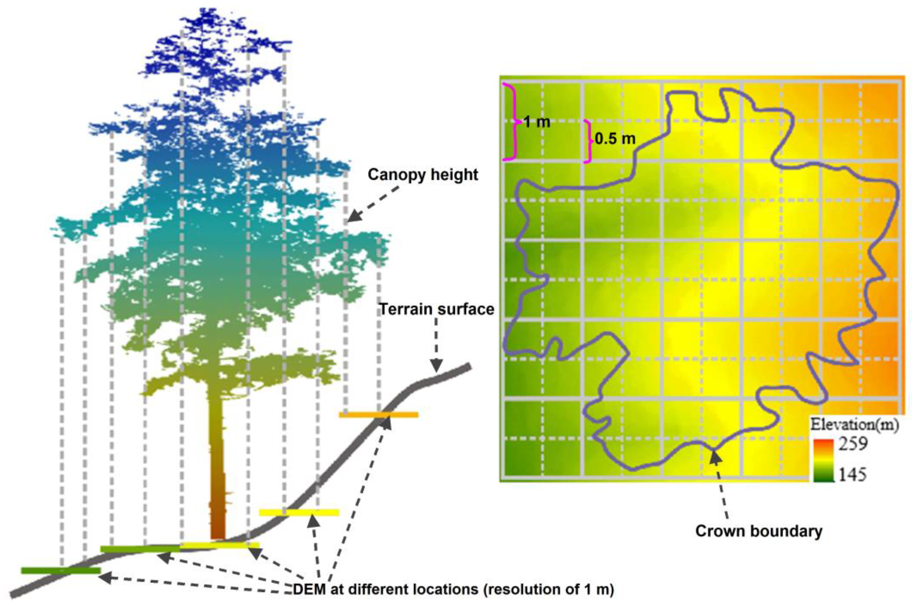 Remotesensing 14 00504 g009