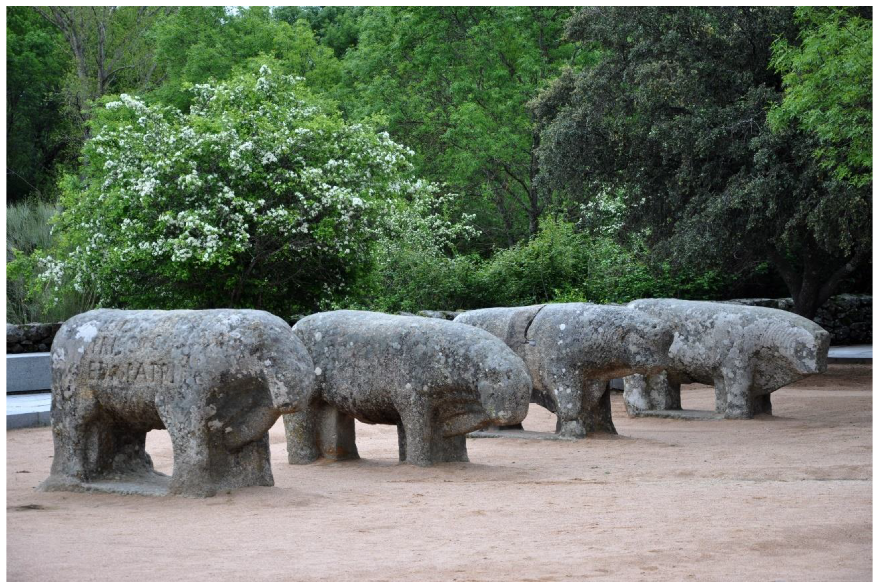 Remotesensing 14 00524 g003