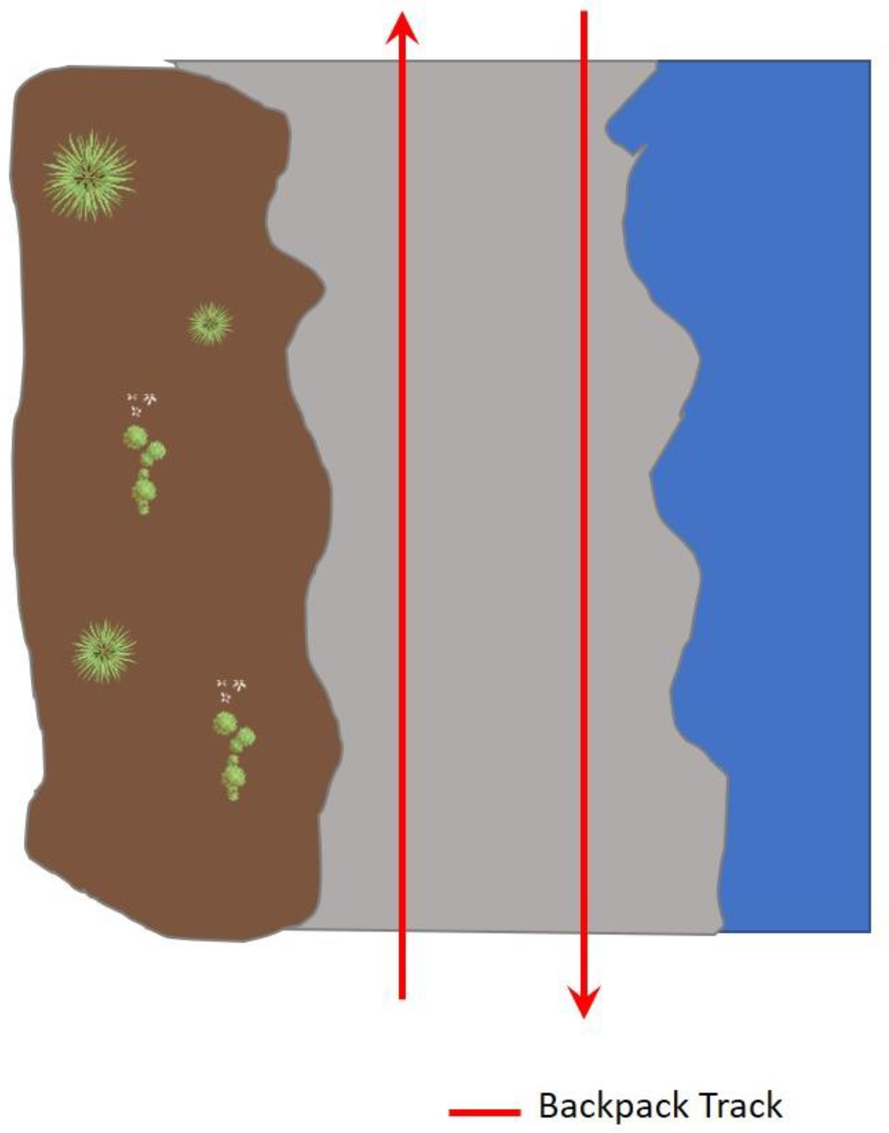 Remotesensing 14 00557 g005