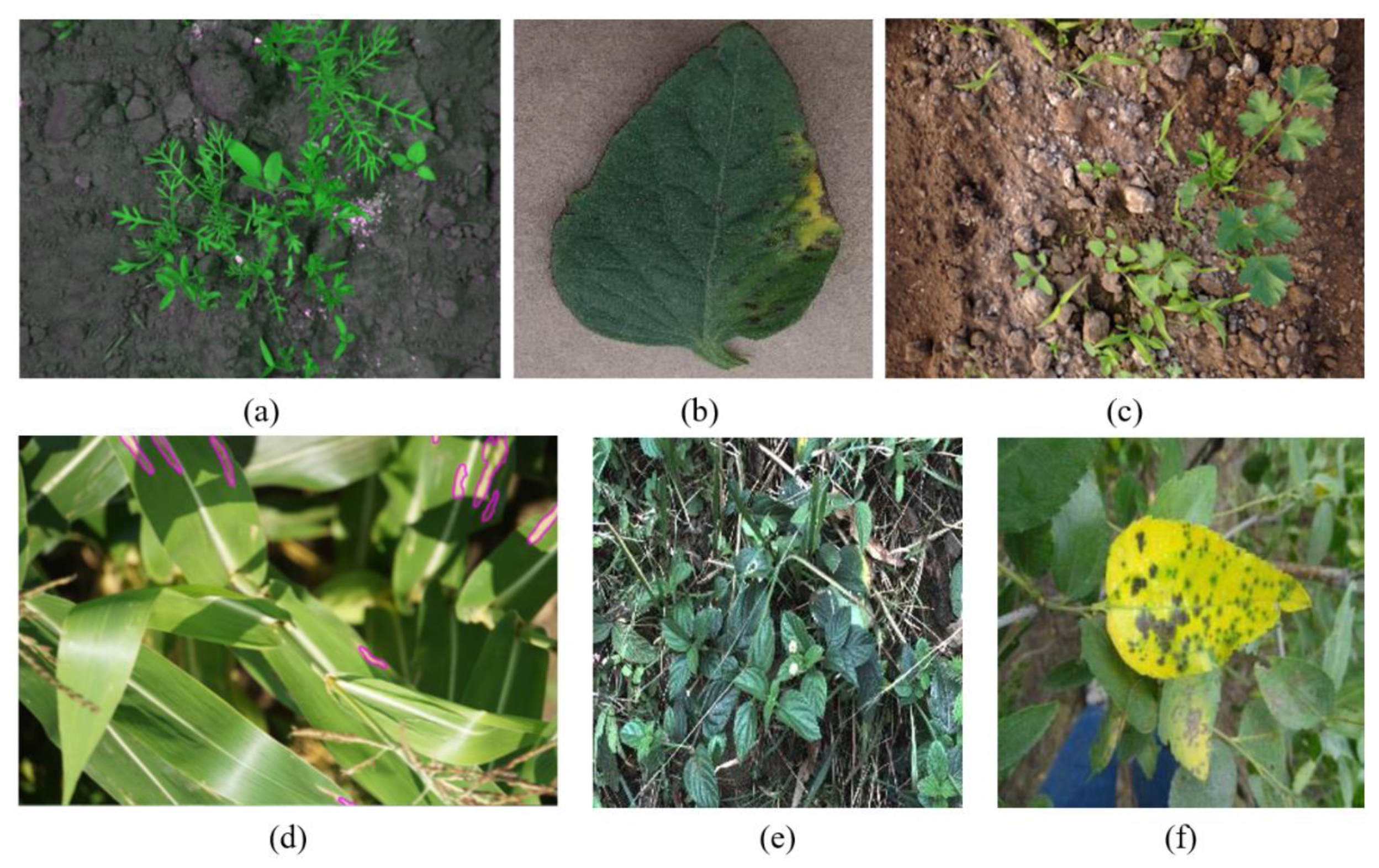 Remotesensing 14 00559 g002