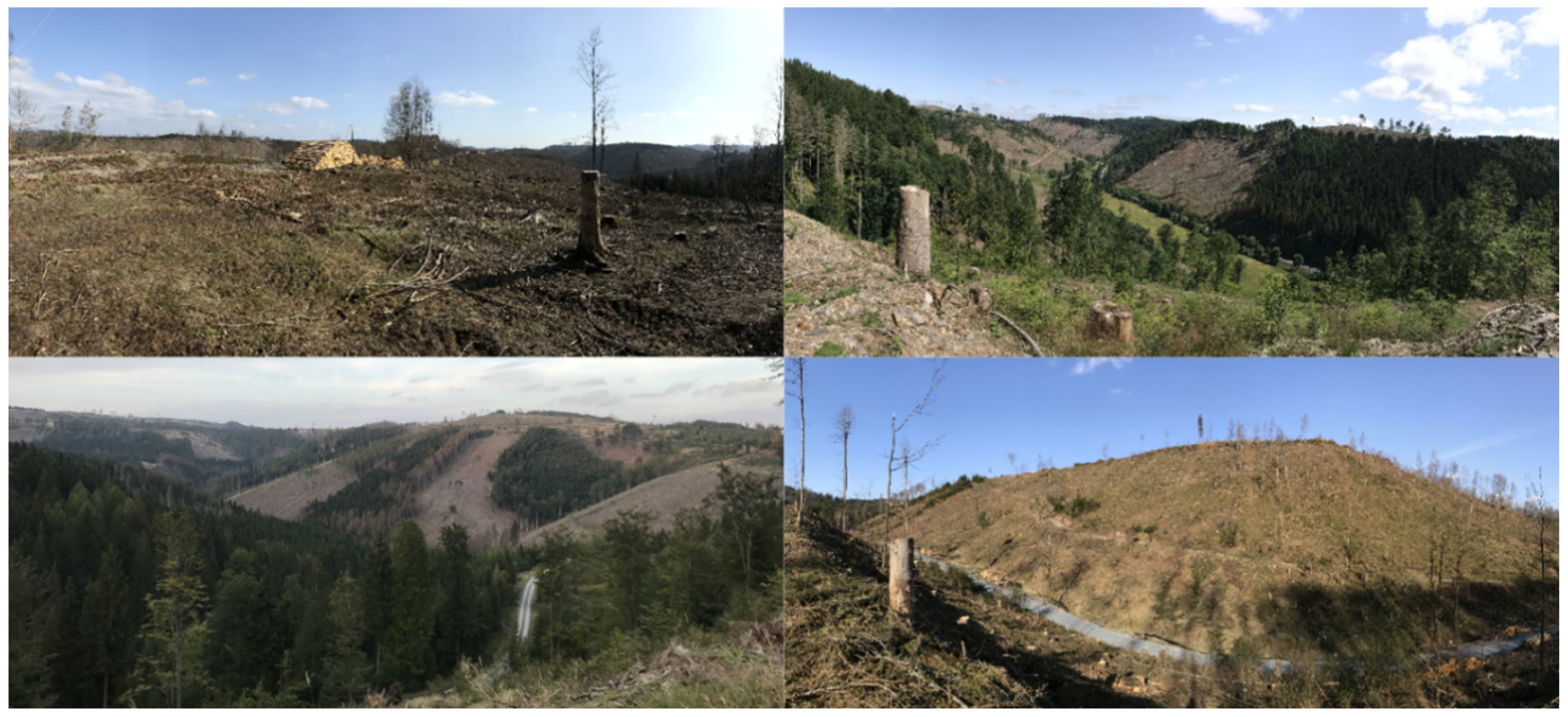 Remotesensing 14 00562 g001