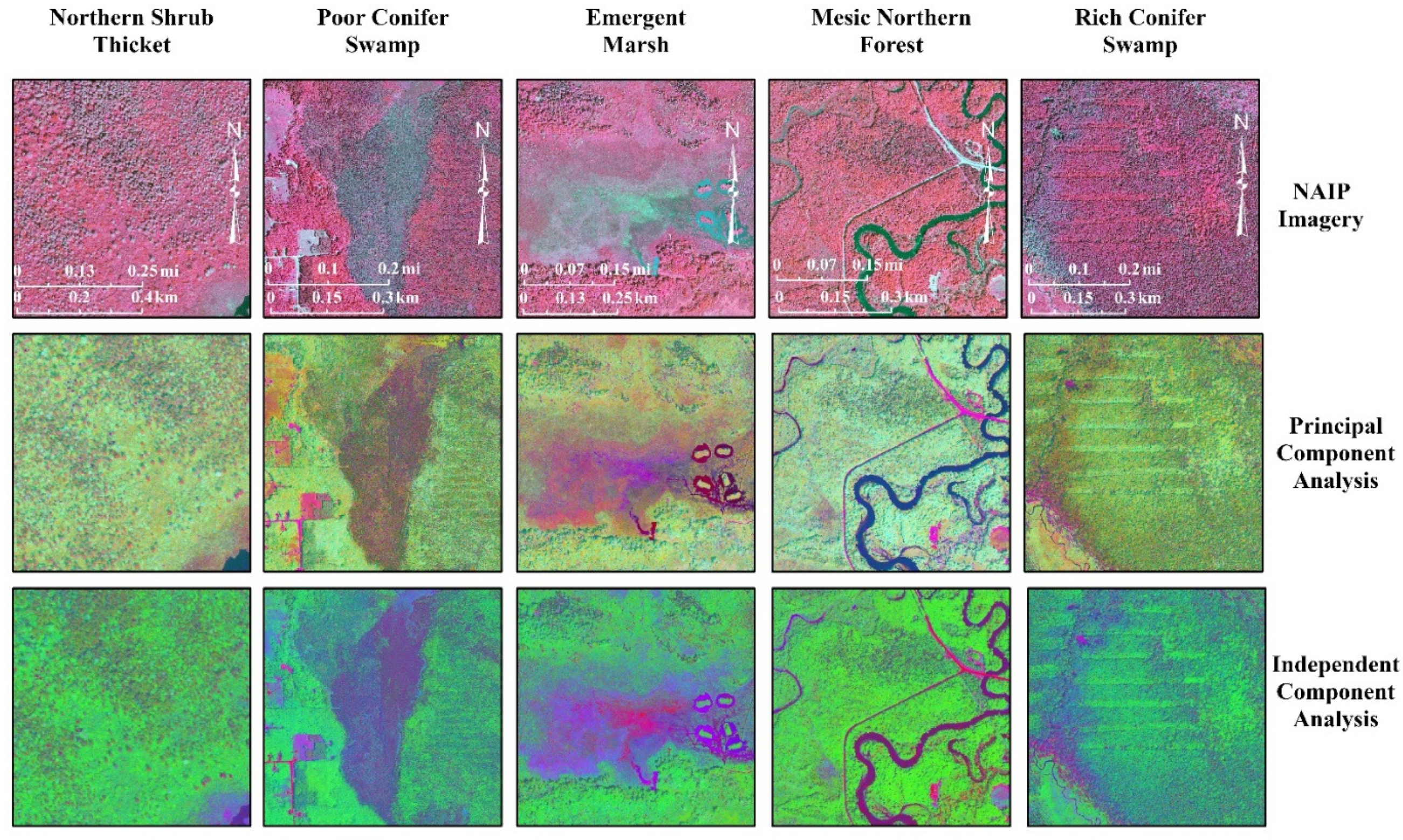 Remotesensing 14 00563 g010