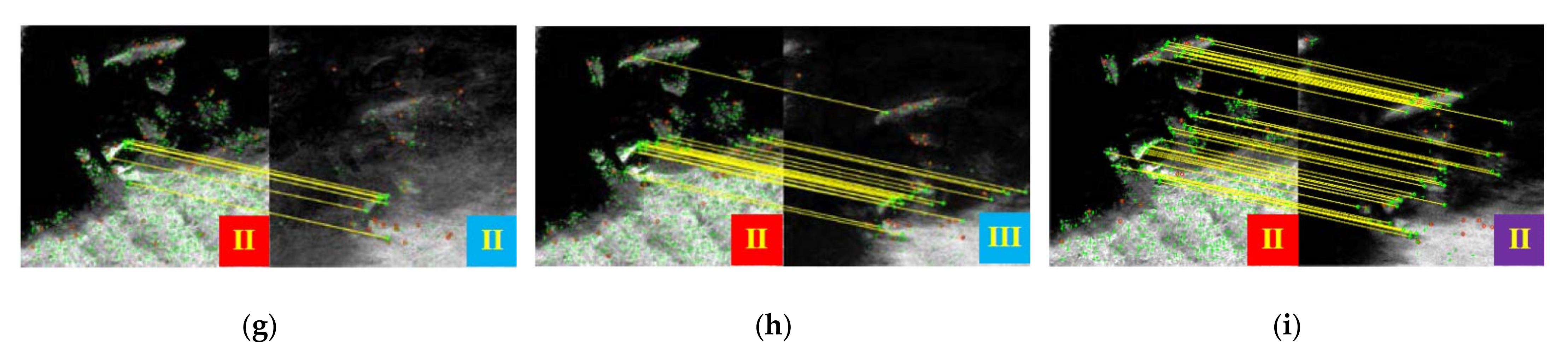 Remotesensing 14 00573 g007b