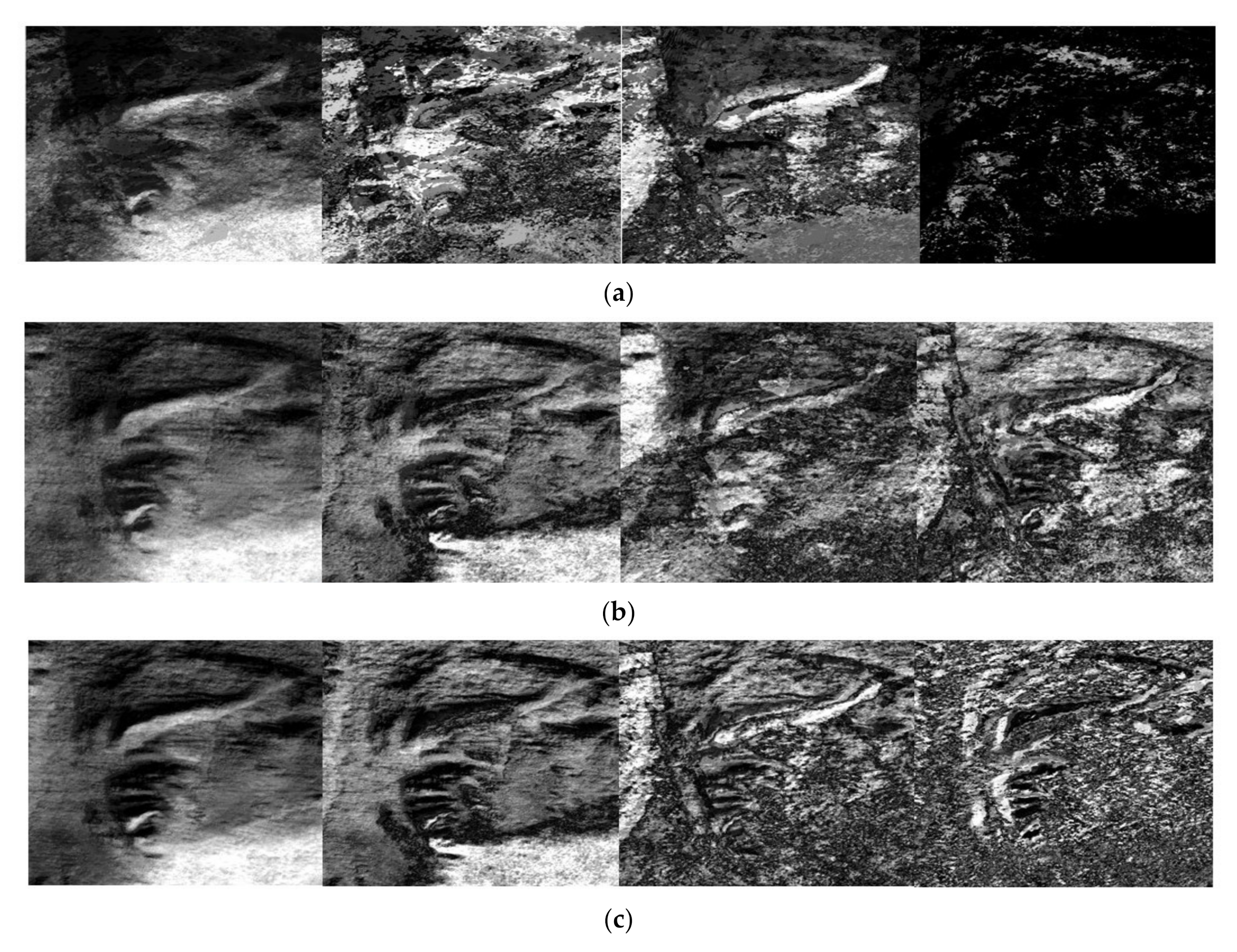 Remotesensing 14 00573 g016