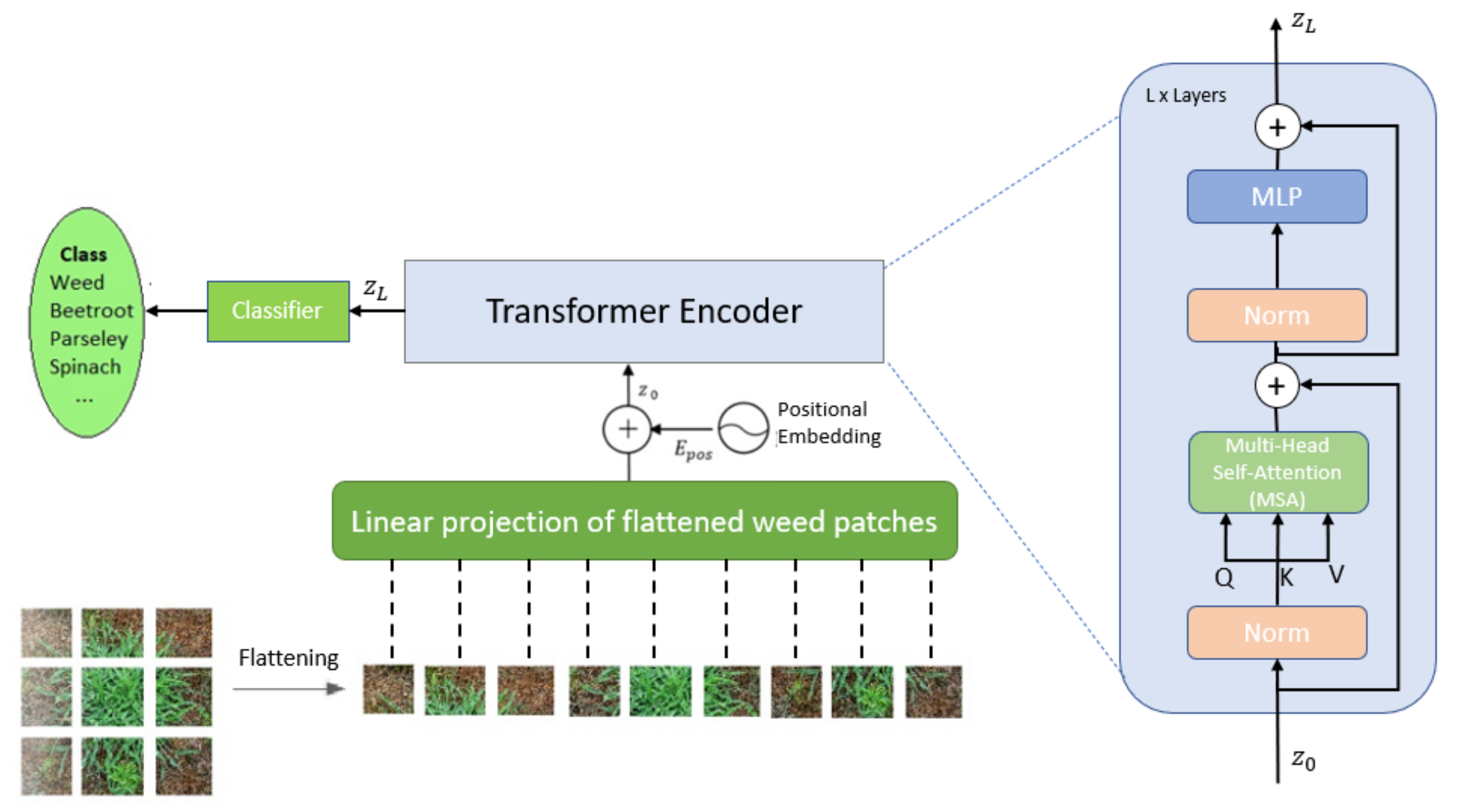 Remotesensing 14 00592 g007