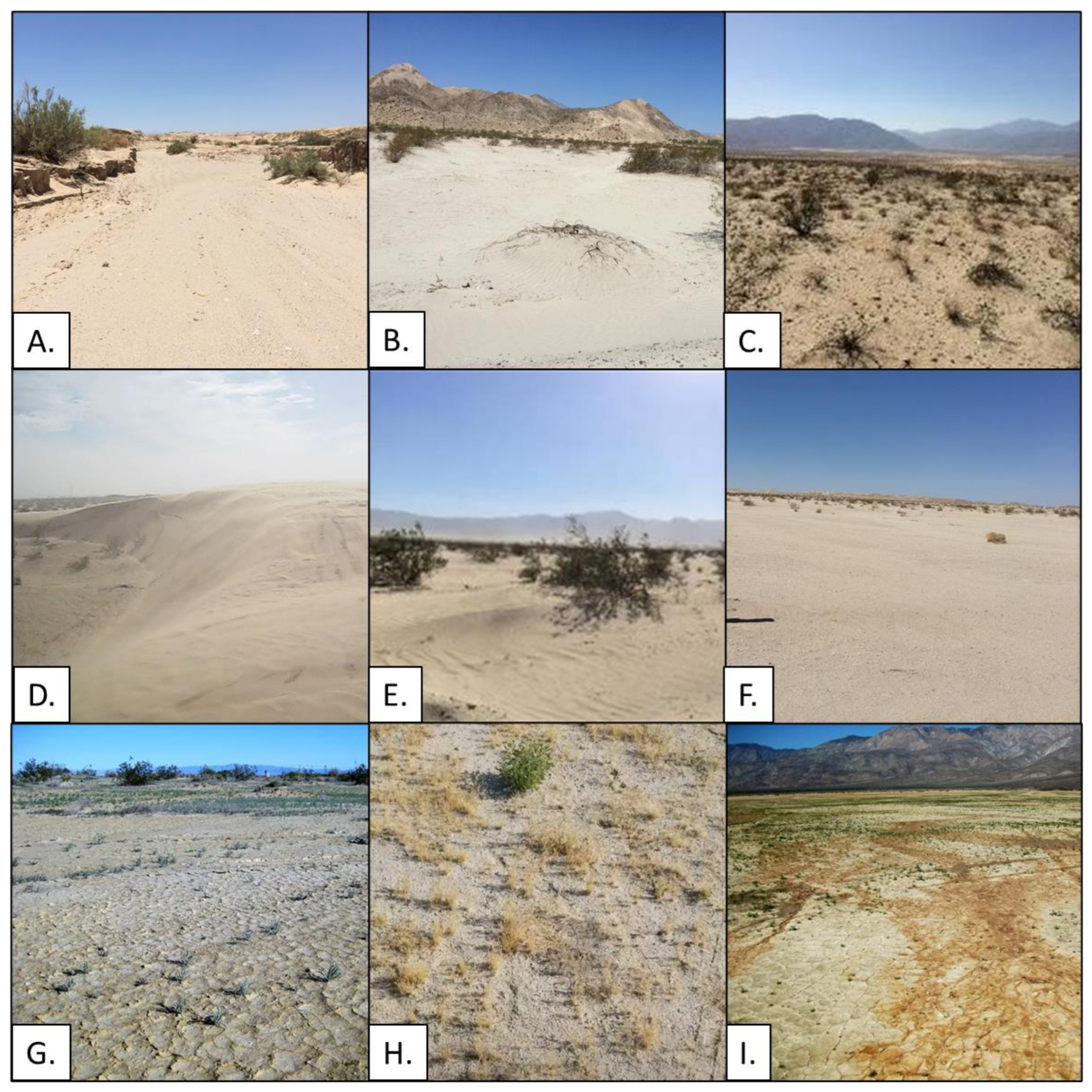 Remotesensing 14 00616 g008