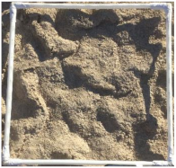 Remotesensing 14 00616 i003