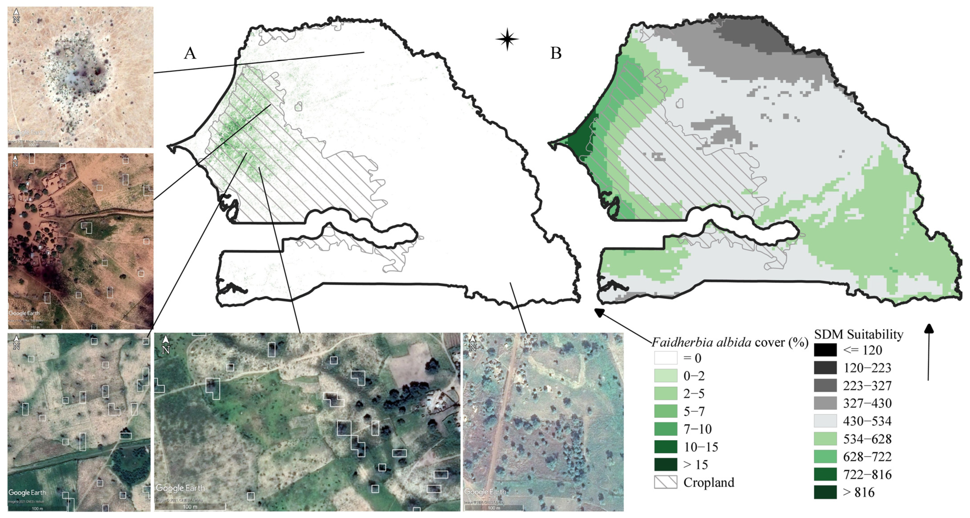 Remotesensing 14 00662 g005