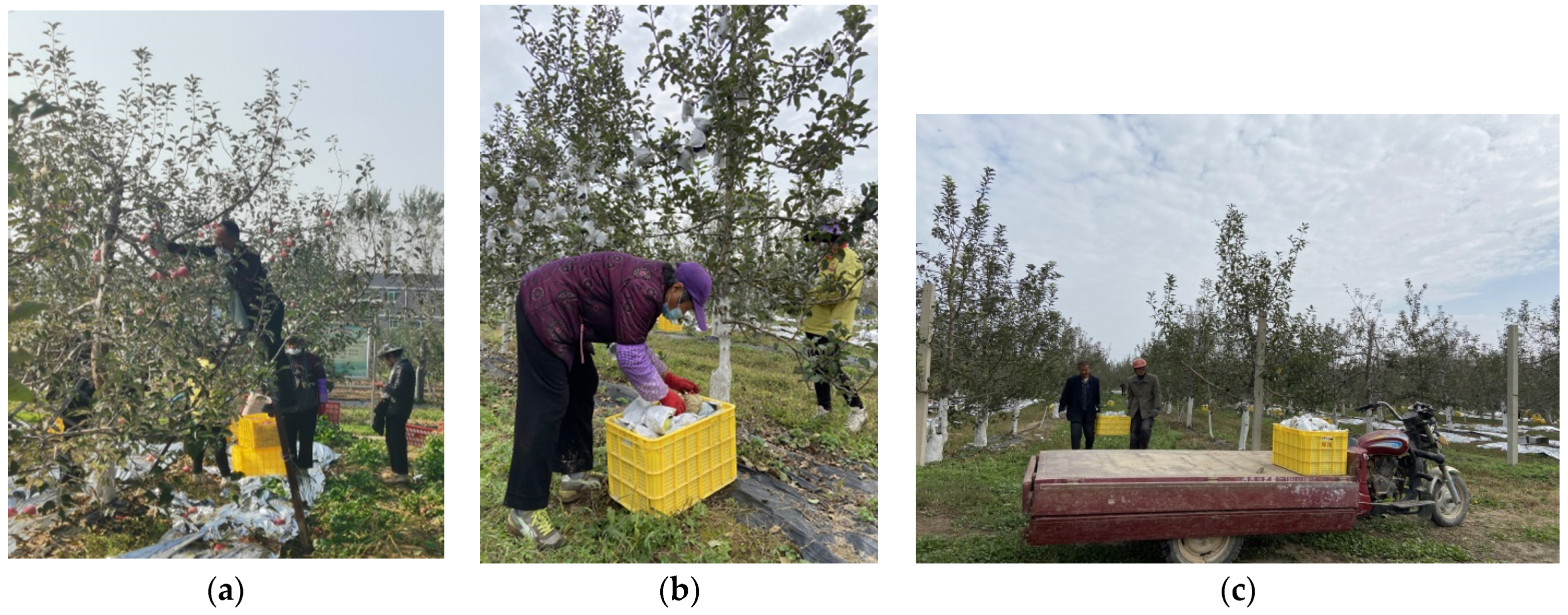 Remotesensing 14 00675 g001