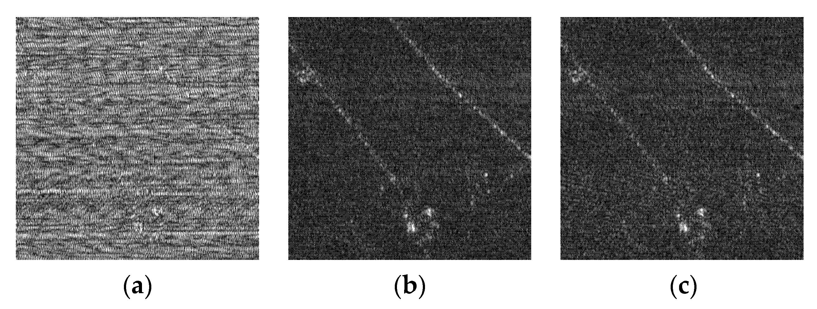 Remotesensing 14 00678 g013a