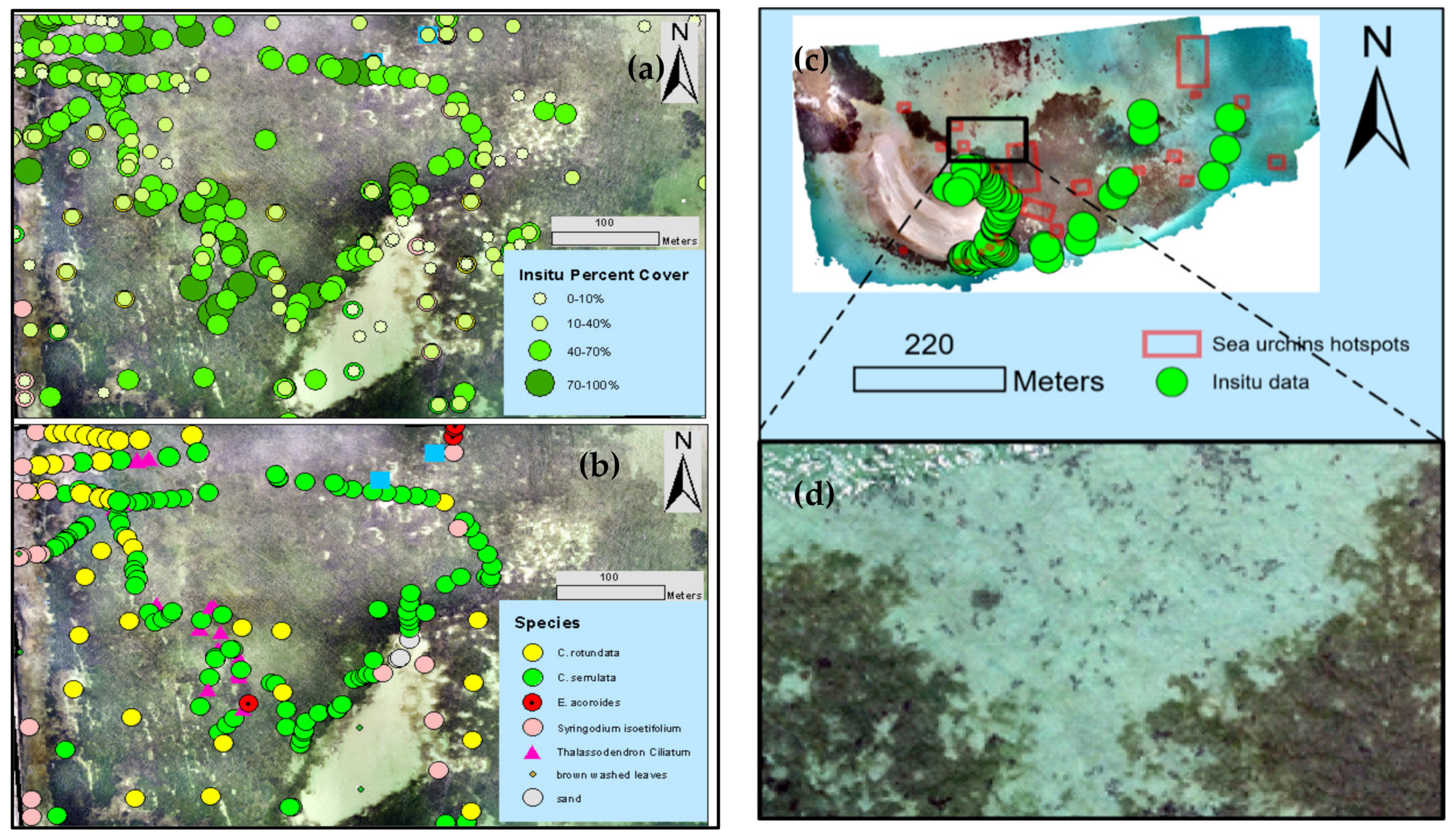 Remotesensing 14 00680 g003