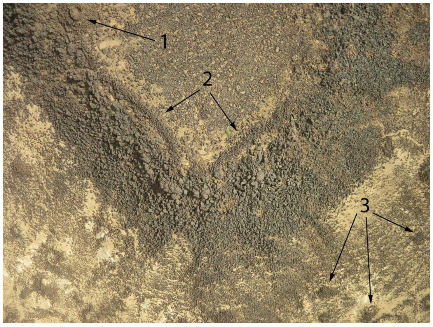 Remotesensing 14 00702 g007