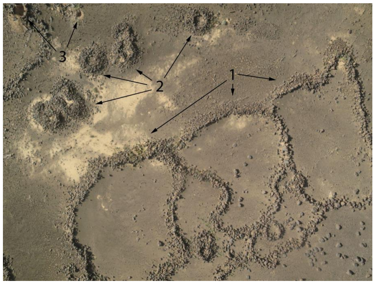 Remotesensing 14 00702 g008