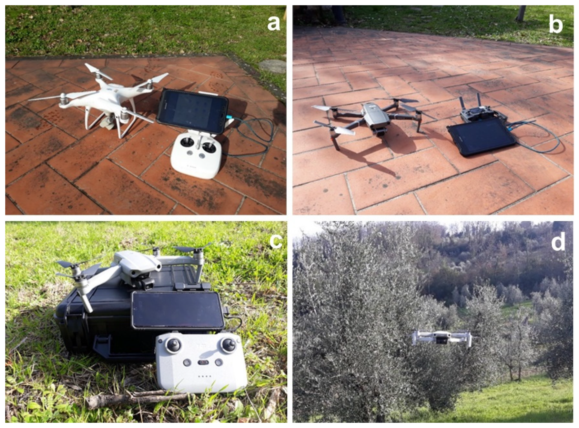 Remotesensing 14 00726 g001