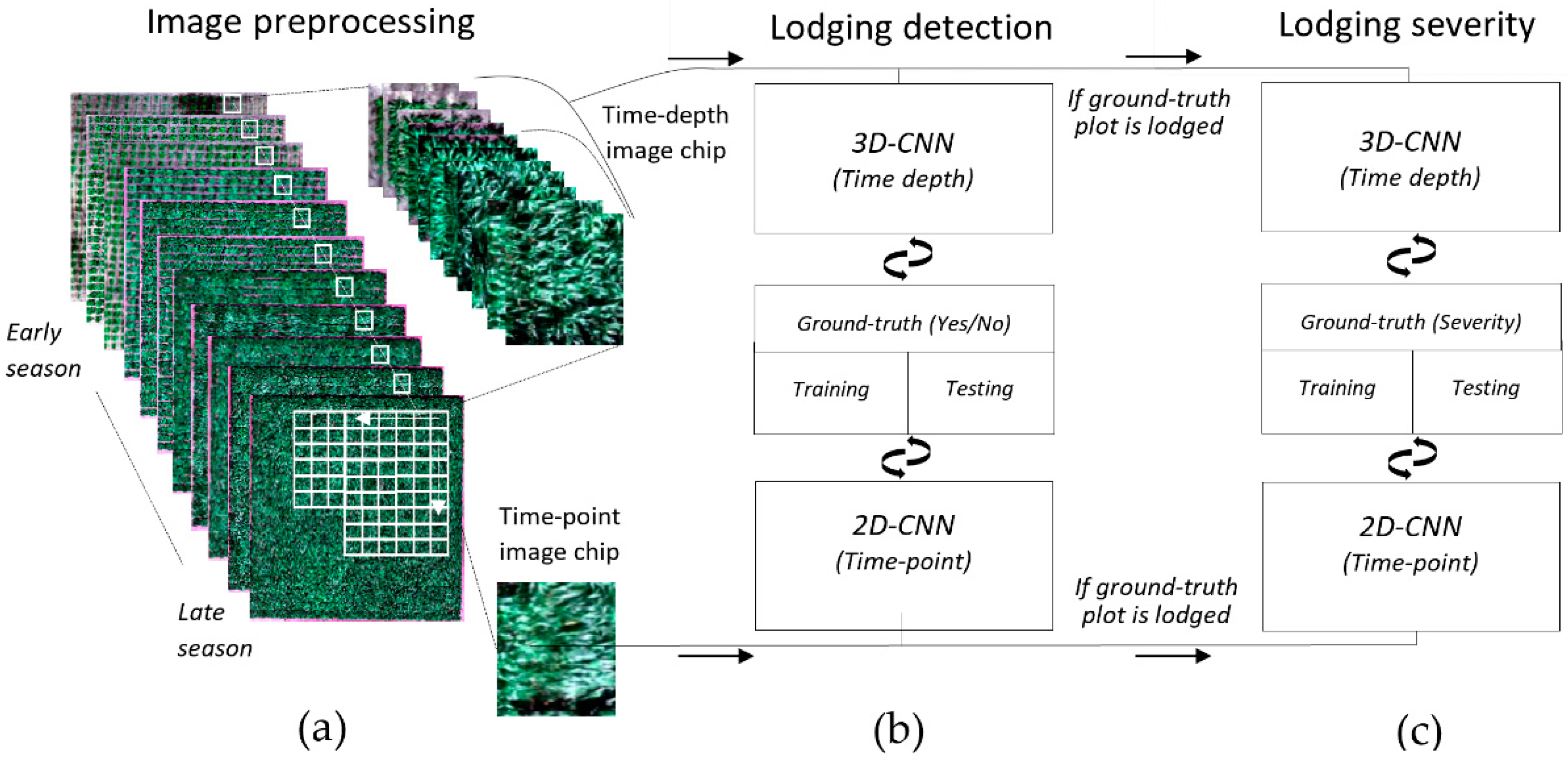 Remotesensing 14 00733 g002