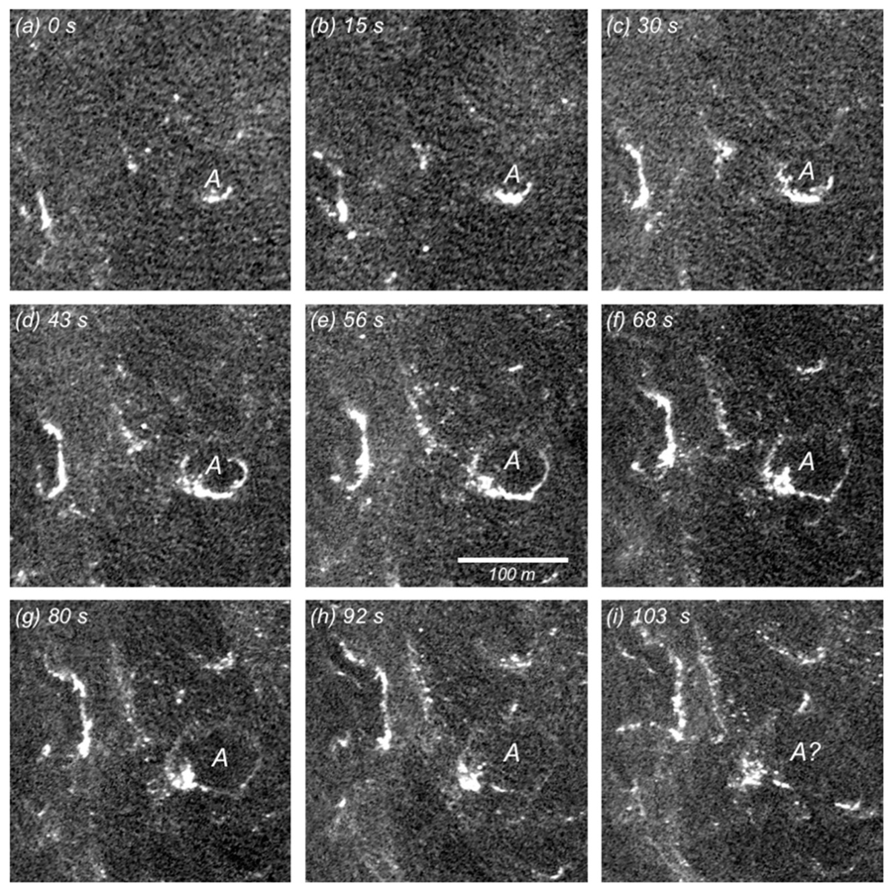 Remotesensing 14 00783 g004