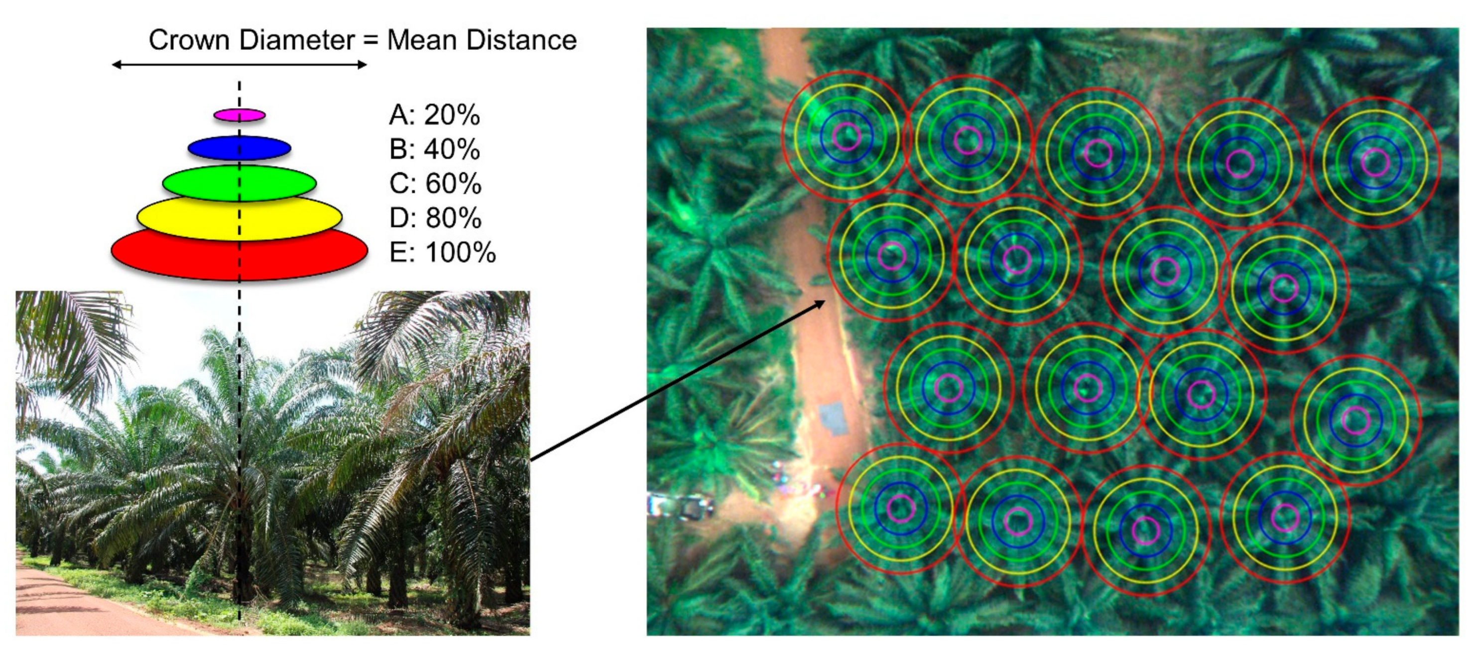 Remotesensing 14 00799 g003