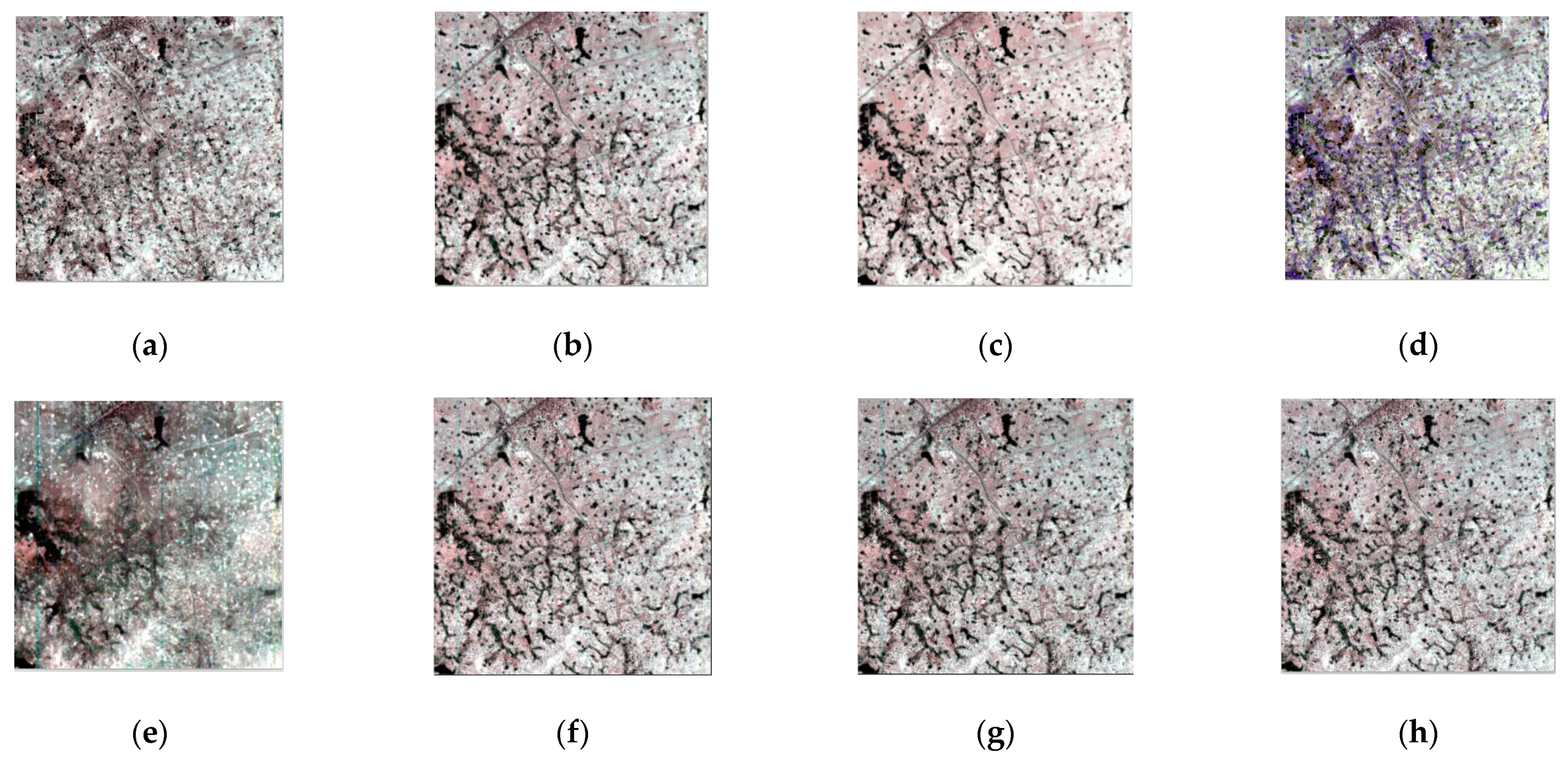 Remotesensing 14 00800 g008