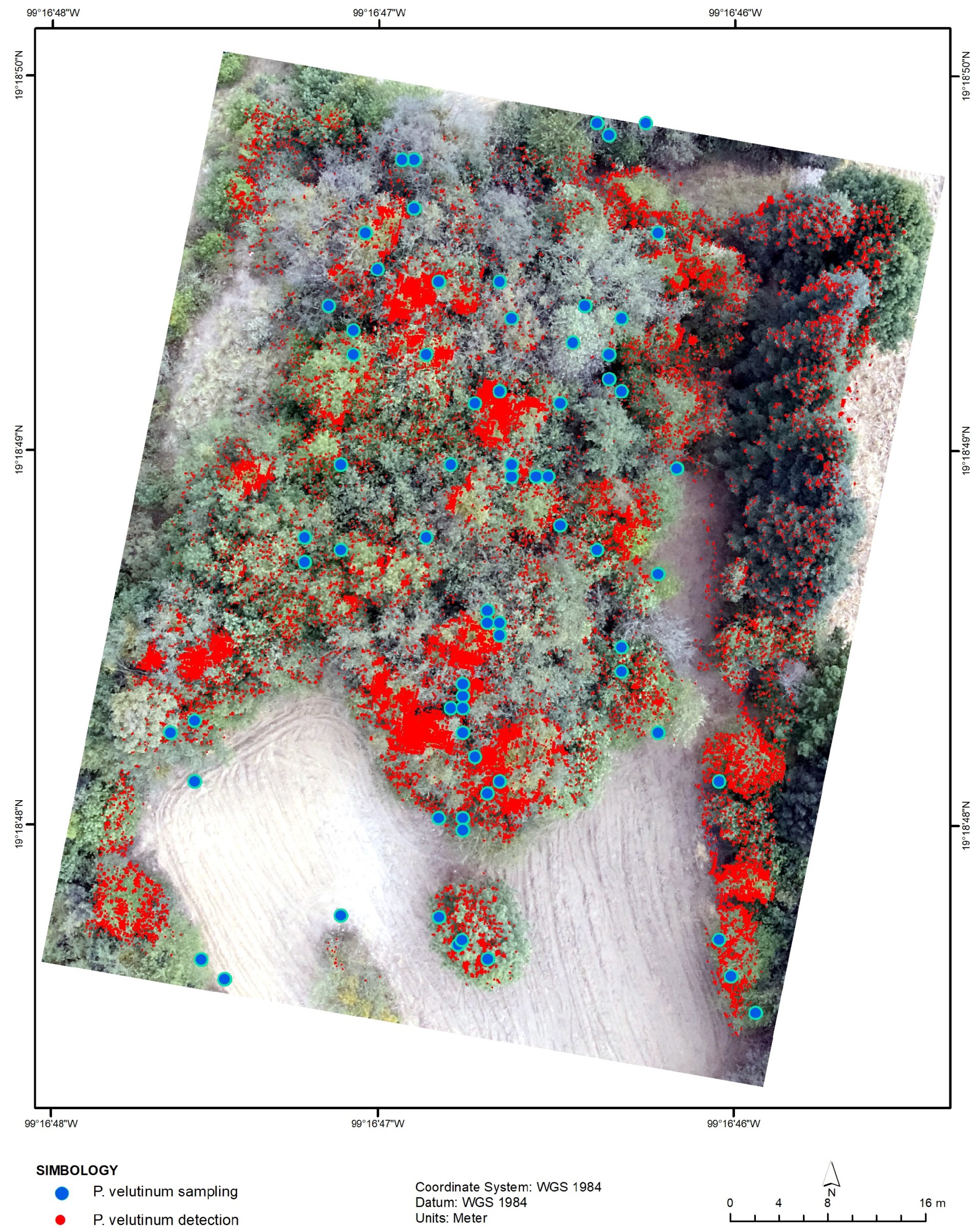 Remotesensing 14 00801 g009