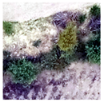 Remotesensing 14 00801 i001