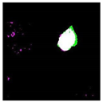 Remotesensing 14 00801 i002