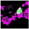Remotesensing 14 00801 i003