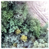 Remotesensing 14 00801 i005