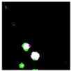 Remotesensing 14 00801 i006